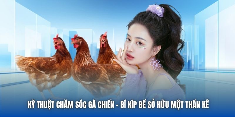 Kỹ Thuật Chăm Sóc Gà Chiến - Bí Kíp Để Sở Hữu Một Thần Kê