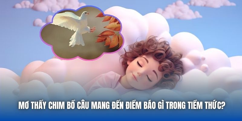 Mơ thấy chim bồ câu mang đến điềm báo gì trong tiềm thức?