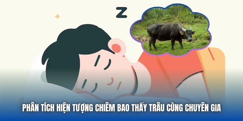 Phân tích hiện tượng chiêm bao thấy trâu cùng chuyên gia