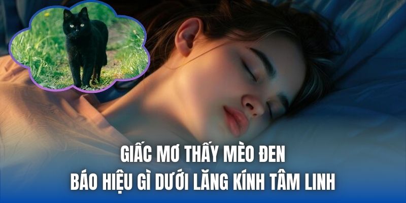 Giấc mơ thấy mèo đen báo hiệu gì dưới lăng kính tâm linh